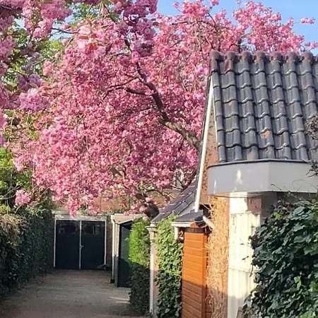 Heerlijk Guest house *