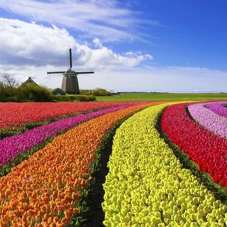 Heerlijk Gæstehus Sassenheim