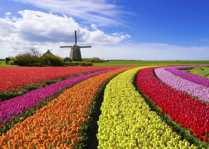 Heerlijk Gæstehus Sassenheim